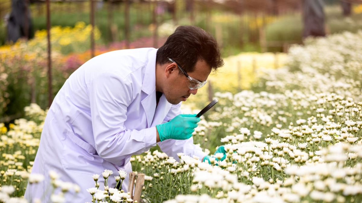 The Flavor Lab, Research & Education Program