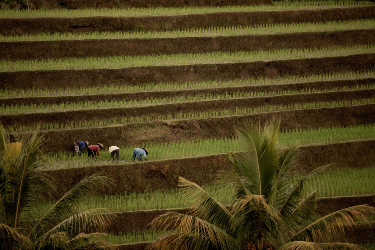 People & Nature, the Circular Economy