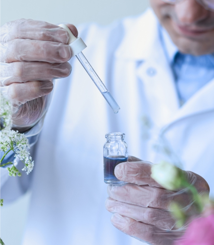 The Flavor Lab, Research & Education Program | Flavor Islands