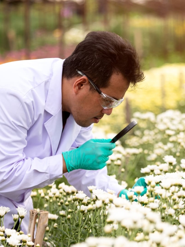 The Flavor Lab, Research & Education Program | Flavor Islands