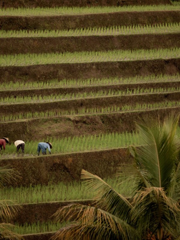 People & Nature, the Circular Economy | Flavor Islands