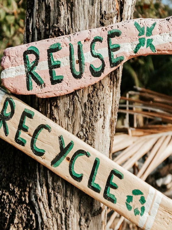 Waste Management & Recycle Opportunities | Flavor Islands