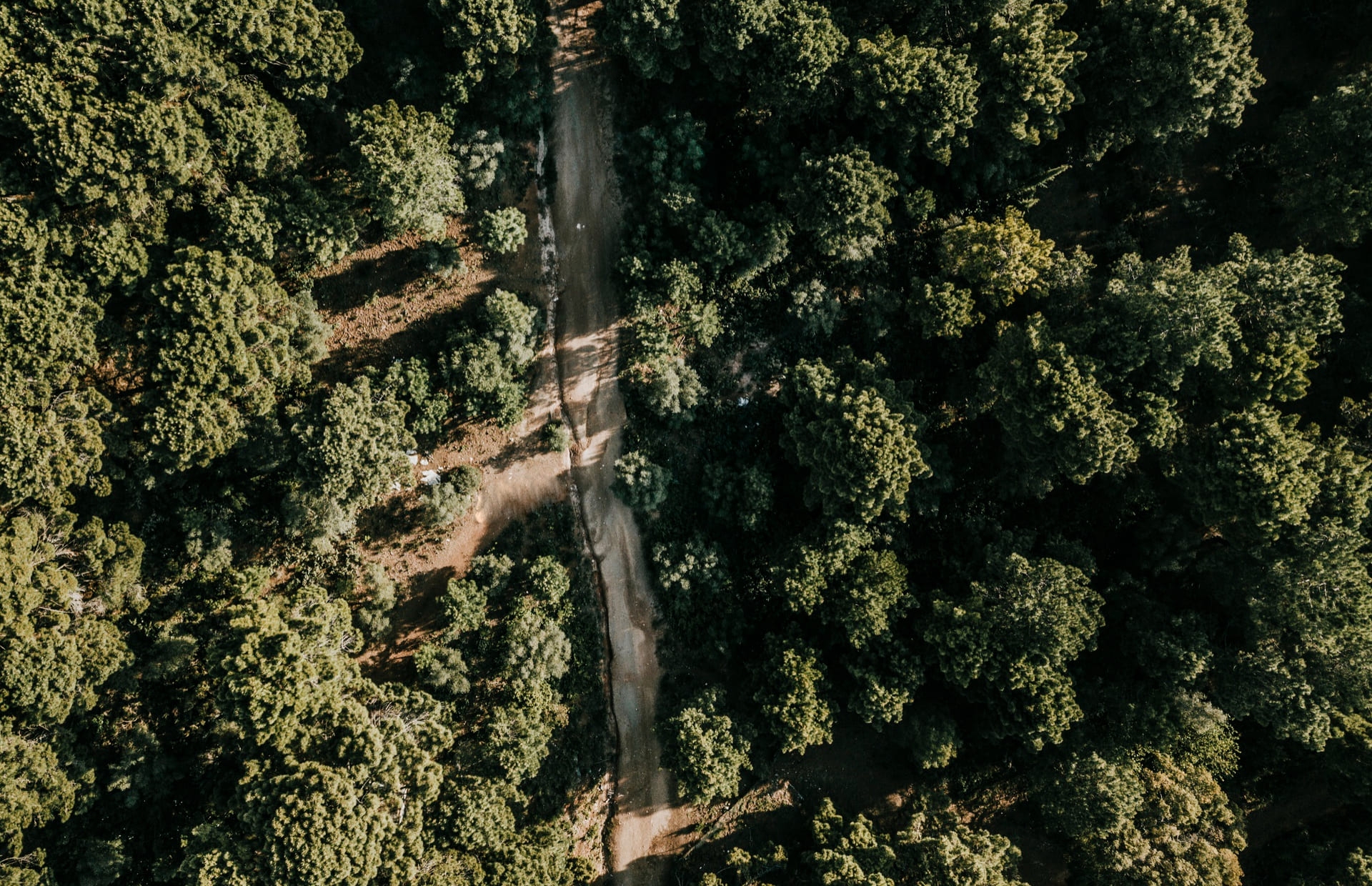High-Value Agroforestry & Organic Export | Flavor Islands