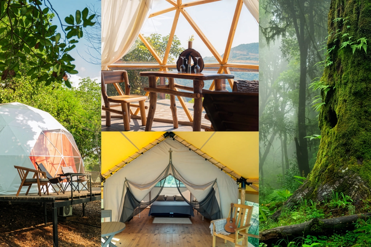 Hyperdome Eco-Retreats | Flavor Islands