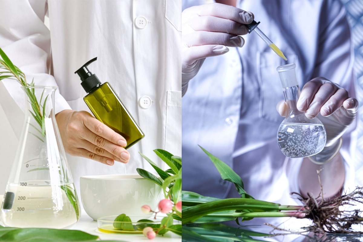 The Phytopharmacological Laboratory | Flavor Islands